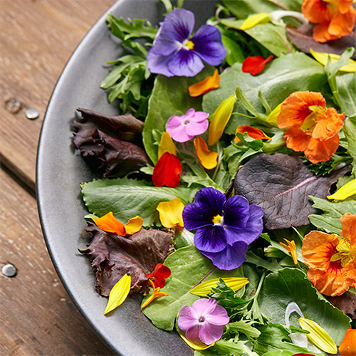 Edible Flowers